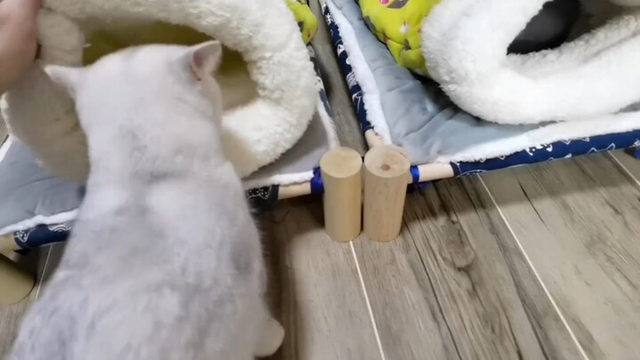 กินอิ่มดื่มเต็มแล้วไปนอนหลับกันเถอะ