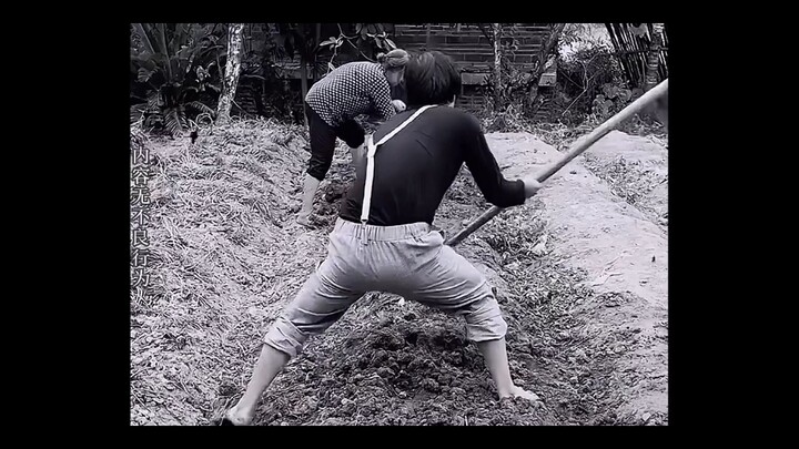 "True Fans" He’s working so hard—what right do you have to bash him? Do you even have any resin?