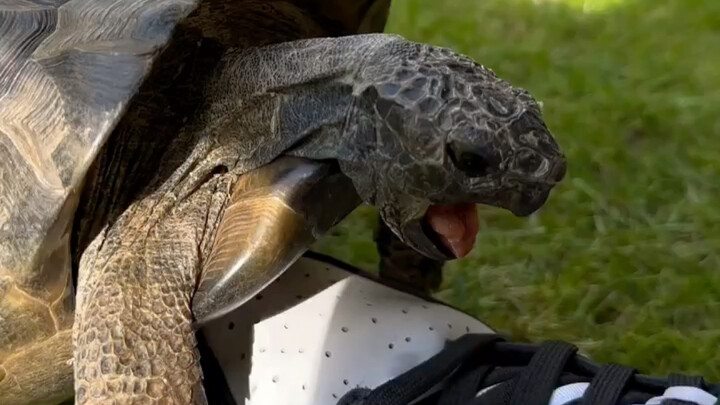 What the heck is going on!!!