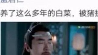 【The Untamed】Friends Circle Series 3! True feelings for The Untamed! Come and have a look!