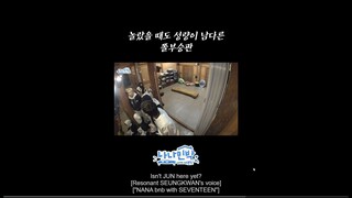 SEUNGKWAN the exceptional vocalistㅣNANA bnb with SEVENTEEN (Eng Sub)