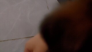 Tôi được 94 điểm môn toán và bố tôi đã tặng tôi một chú chó con làm phần thưởng.