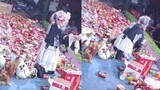 During the Zhejiang Wu Opera begging performance, chicken, duck, and goose snacks were thrown direct