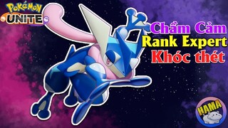 Pokemon UNITE - "Chầm Cảm" Với Đồng Đội Rank Expert, Cố Hết Sức Greninja Gánh Team