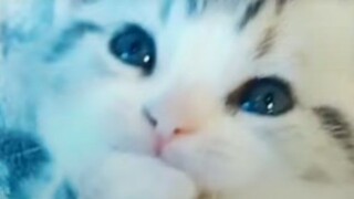 Nonton doang like nggak 💔capek tauu follow aku terus yaa 💗🥺