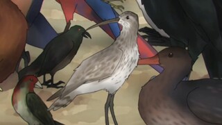 【鸟类手书】散り散り