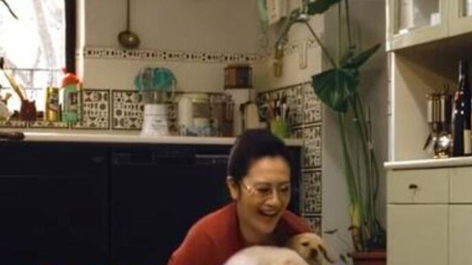 The owner tested which dog was best suited to be a guide dog, and a bunch of dogs rushed towards her