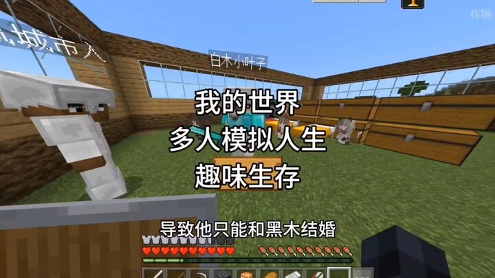 [Minecraft] Multiplayer Sims-style Game: I Want to Be a Villager!