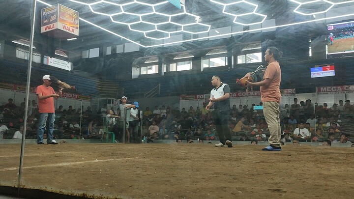 5cock finals Roligon Mega Cockpit 6/16/25