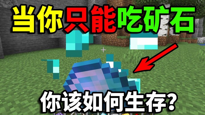 What If You Could Only Eat Ore in Minecraft? How Would You Survive? A Fun Survival Challenge