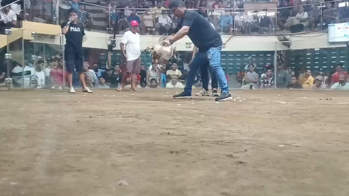 2hits first flight lose