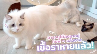 ในที่สุดบารอนก็ได้ลงมาเจอพี่ๆ หลังโดนกักตัวไป 2 เดือน!