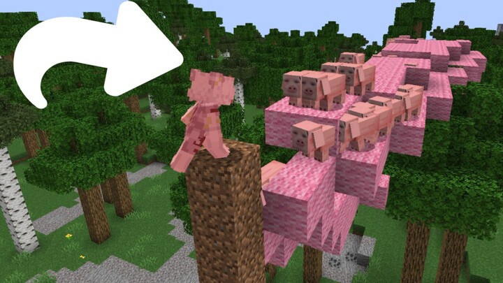 When Dream is added to the Minecraft server, he still owes me $100,000 (Player: Watch me hack a conn