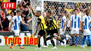 🔴 Trực tiếp Watford vs Brighton | Vòng 25 Premier League