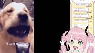 Peri Jepang menonton "Crouching Dragon and Phoenix"