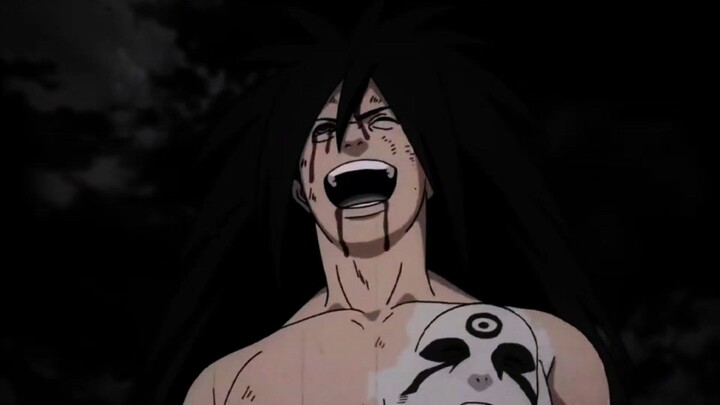 Zoro Joined Aliansi Shinobi
