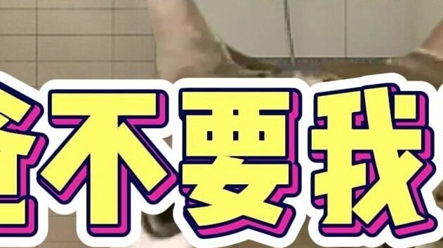 พ่อฉันไม่ต้องการฉันอีกแล้ว