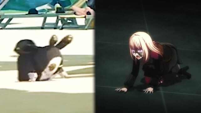 Two people crawling in the dark for some unknown reason (one minute of pure enjoyment)