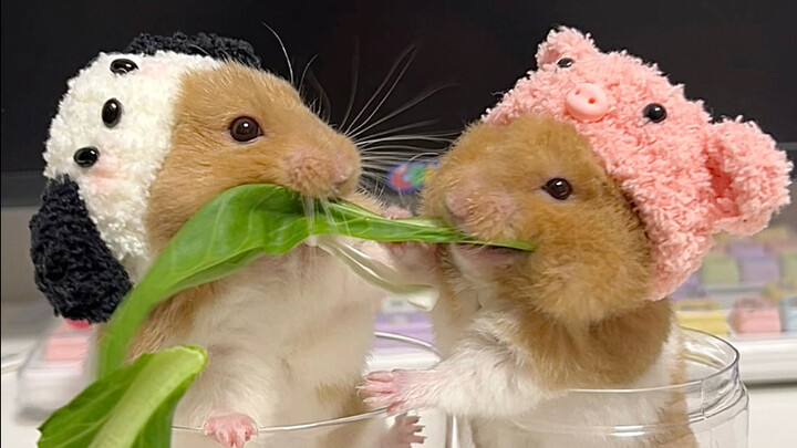 เธอ เธอ เธอมีสิทธิ์อะไร?