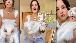 撸猫的终极喜悦：随便怎么盘！！！
