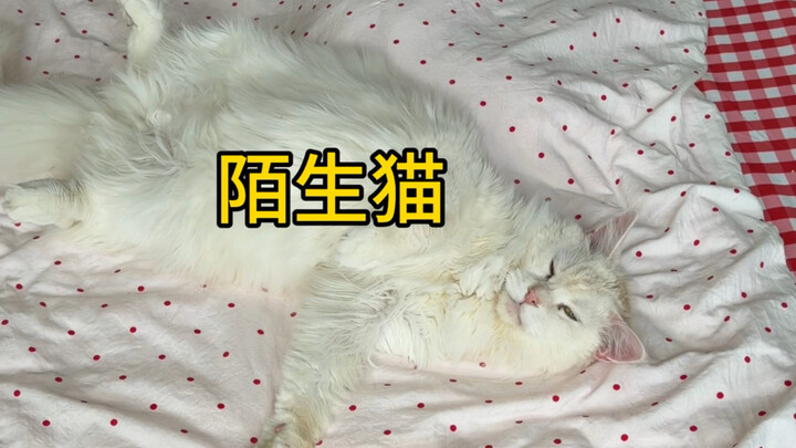 Phần tiếp theo có quá nhiều yếu tố!!!