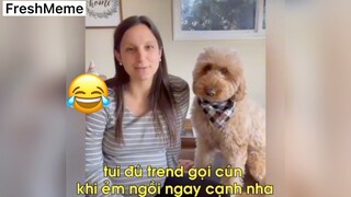Đú trend với cún và cái kết