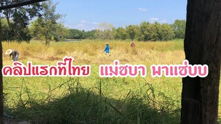 คลิปแรกที่ไทย ฝากเป็นกำลังใจให้กันคือเก่าแหน่เด้อจ้า | แม่ชบา พาแซ่บบ