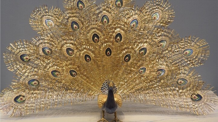 Đẹp quá, con công vàng do UAE tặng!