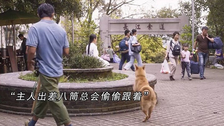 “Nó chỉ là một phần trong cuộc đời bạn, còn bạn lại là cả cuộc đời của nó.”