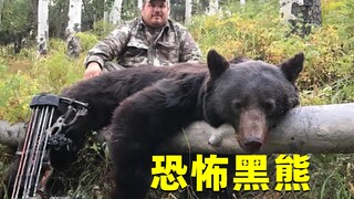หมีดำน่ากลัวขนาดไหน? ถ้าเจอหมีดำในป่า ควรเอาตัวรอดยังไง?