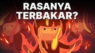 Apa Rasanya Kalau Kita Terbakar?