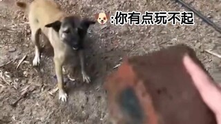 Xiu Gou: You are a little bit unable to play