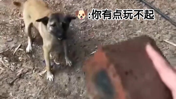 ซิ่วโกว: คุณเล่นไม่ได้นิดหน่อย