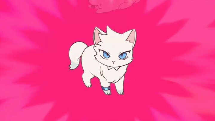 Lu Guang Cat Spins for One Minute oiiaiooiiiai