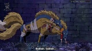 funny moment luffy, bukannya takut malah dikejar - kejar🤣 One Piece Ep 341