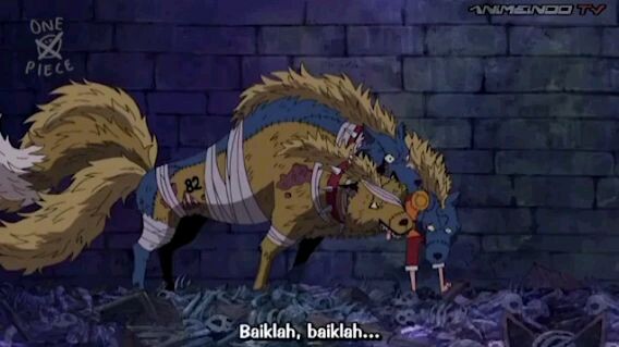 funny moment luffy, bukannya takut malah dikejar - kejar🤣 One Piece Ep 341