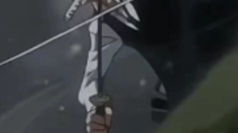 zoro vs idigo