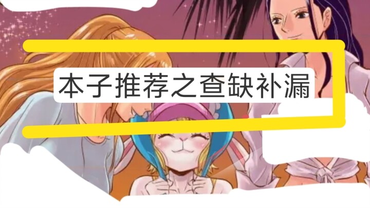 Following Up on This One Piece Fanbook!