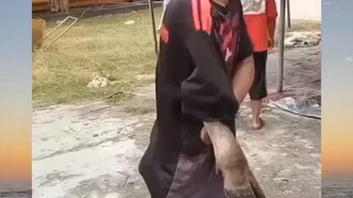 gak ada tangan, kaki kambing pun jadilah🗿👍