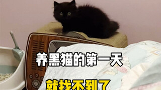 Day one of raising a black cat—man, is it really this hard to find one?!