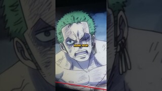 J'ai Trouvé Un Détail Caché Sur Zoro | #shorts #onepiece #anime