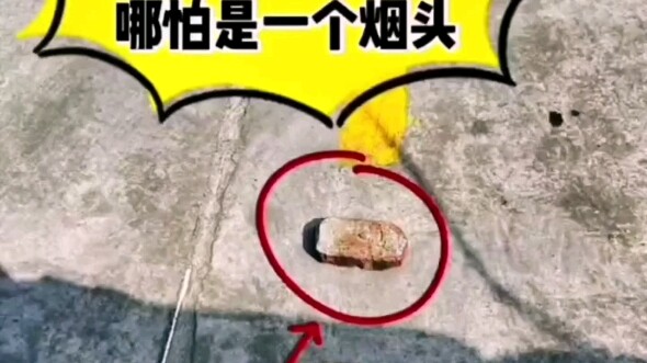 Setiap rumput dan pohon di ruang ujian memiliki makna tersendiri. Kalian ingin lihat yang mana? Tuli