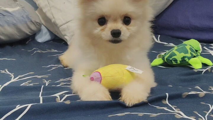 Playing by himself