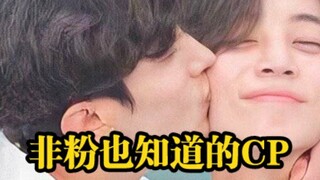 التصنيف من أفضل 20 متابعاً لـ SEVENTEEN CP! حتى ضمن APOP بأكملها، هو وجود مذهل للغاية