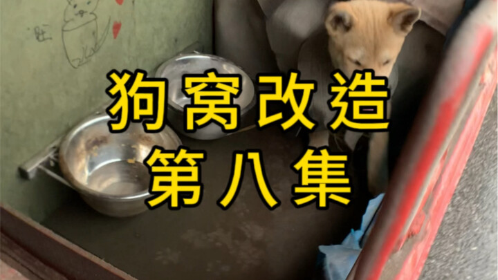 Transformasi Kandang Anjing Episode 8: Teman Baru Lai Fu (Tambahan)