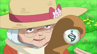Pokemon S17E33