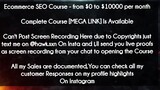 Ecommerce SEO Course  course - from $0 to $10000 per month download
