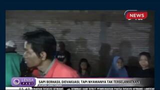 Dramatis tapi sapi, evakuasi dari sumur