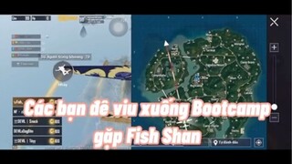 Lại là gạ kèo bootcamp 🤣🤣