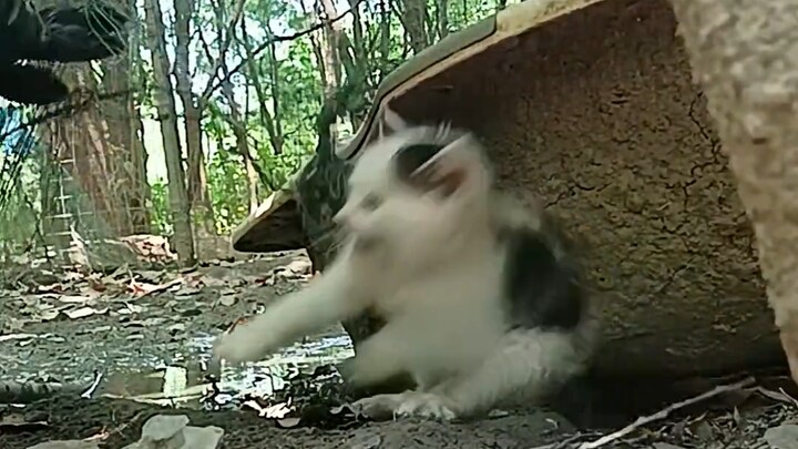 ต่อให้หน้าตาเธอน่ารักแค่ไหน ก็ไม่อาจปิดบังความจริงที่ว่าเธอเป็นตัวซวยได้!